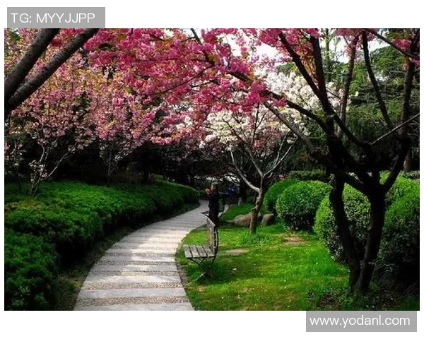 【简评】那个解说员期望你做好功课再谈论